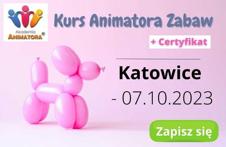 Kurs Animatora Katowice
